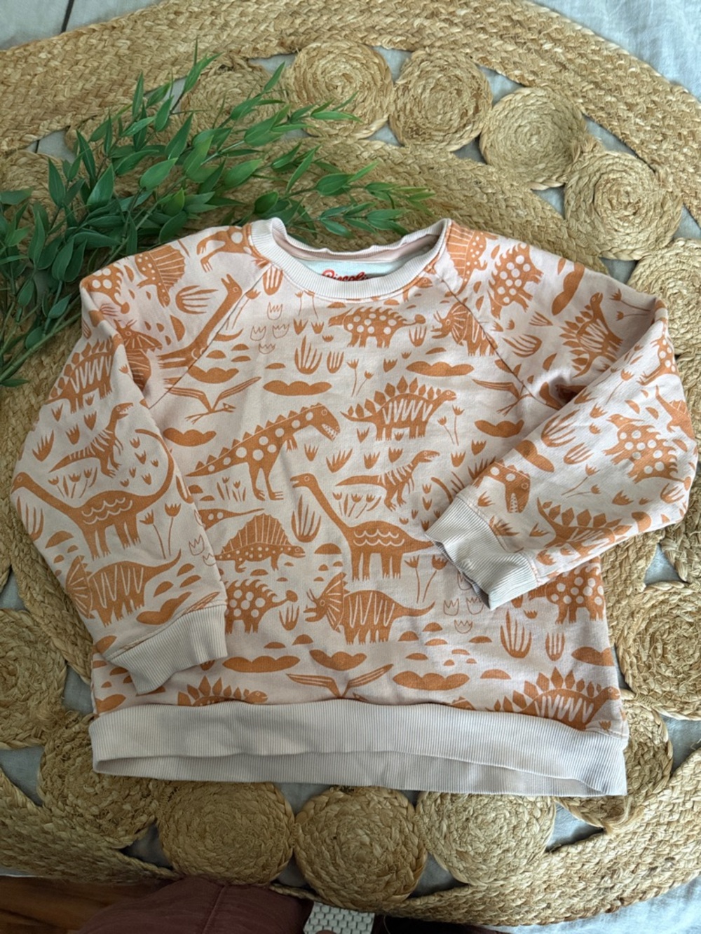 Piccolina Cotton Dino Relaxed Boxy Pullover Sweatshirt. Size 8 unisex